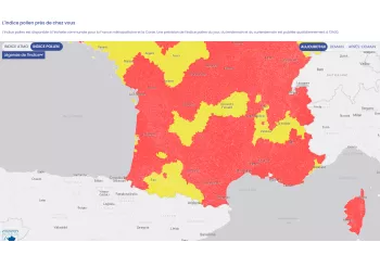 Illustration indice pollen