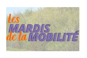 Logo Mardi de la Mobilité