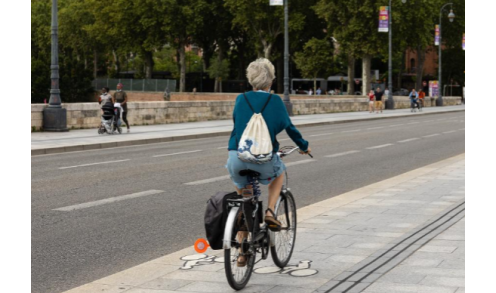 Cycliste de dos sur le pont neuf