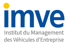 Logo IMVE