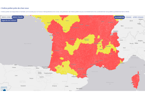 Illustration indice pollen