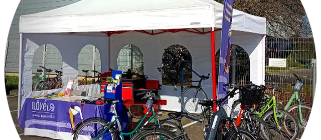 stand ilovelo