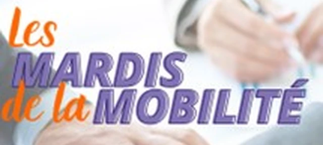 Mardis mob