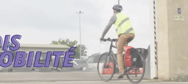 mobilite en entreprise