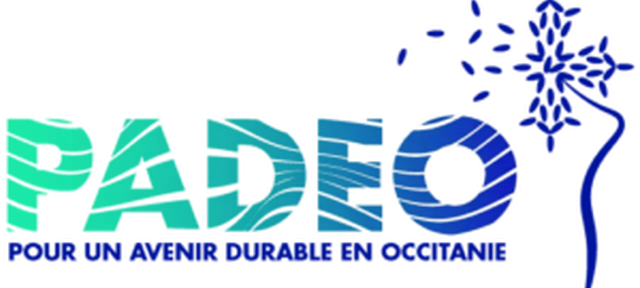 Webinaire PADEO "Mettre en place une stratégie de décarbonation en entreprise"